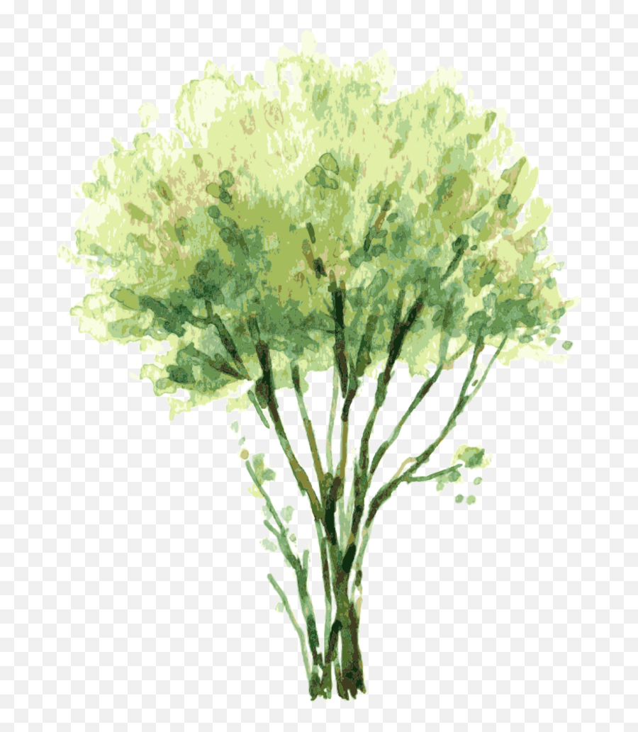 Watercolor Trees Png Png Image With No - Watercolor Tree Png Emoji,Watercolor Tree Png