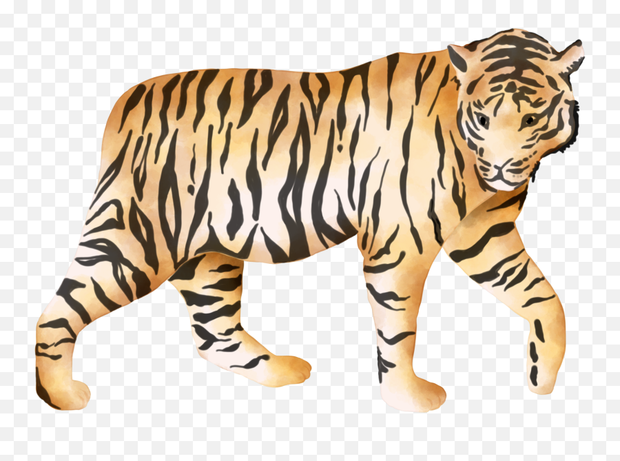 Tiger Tigerlove Bigcats Sticker By Stacey4790 - Graphic Design Emoji,Tiger Stripes Clipart