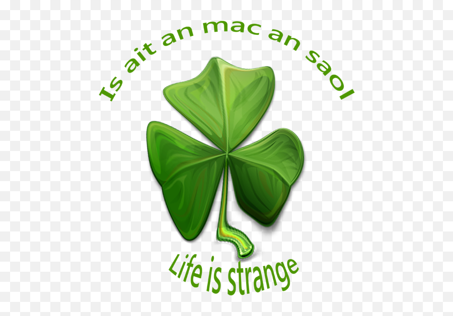 Life Is Strange Old Iirsh Sayings T - Shirt Language Emoji,Life Is Strange Logo
