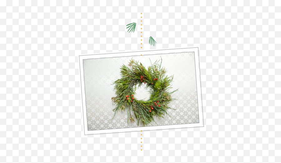 Download Hd How To Make A Holiday Wreath Using Plants From Emoji,Holiday Wreath Png