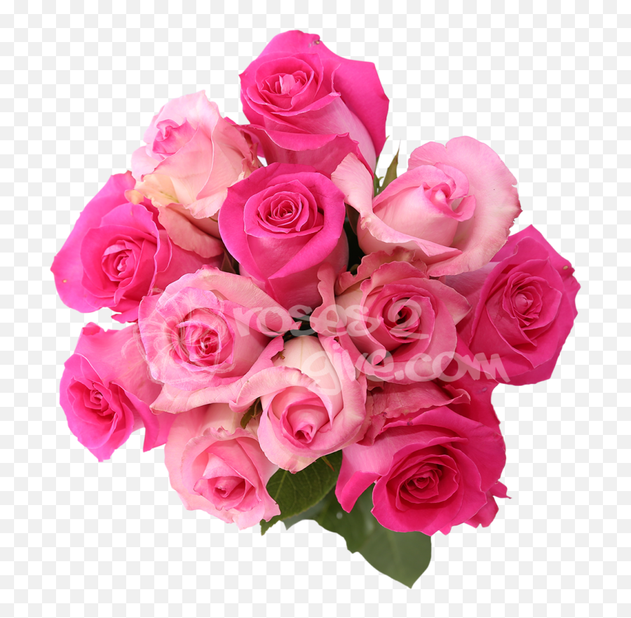 Pink Wedding Flowers Png Related - Fuschia Pink Flower Pink Wedding Flowers Png Emoji,Pink Flower Png