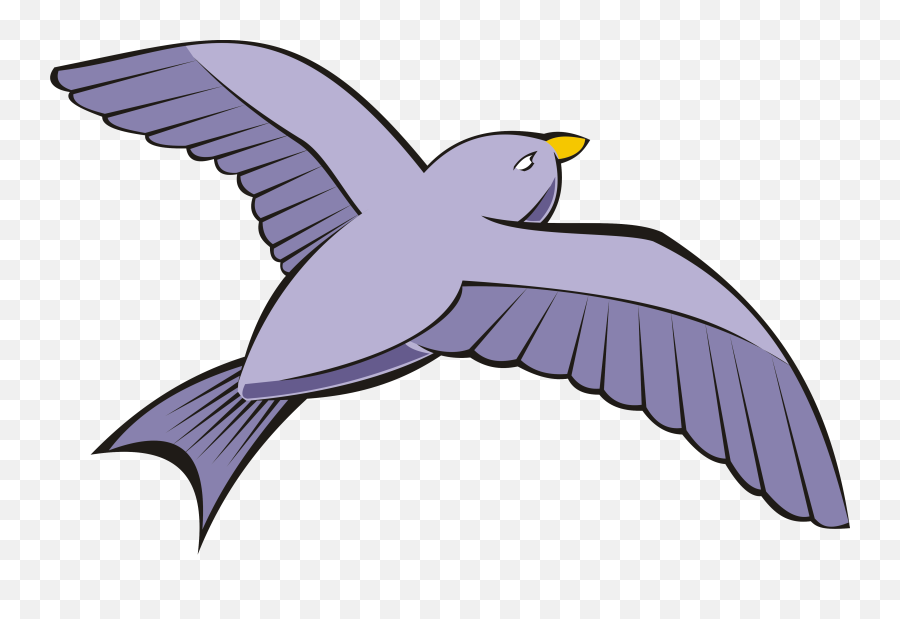 Download Bird Columbidae Rock Dove Flight Beak - Birds Flying Bird Wings Clipart Emoji,Birds Flying Png