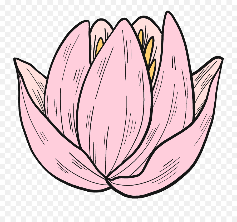 Pink Water Lily Clipart Free Download Transparent Png Emoji,Water Plants Clipart
