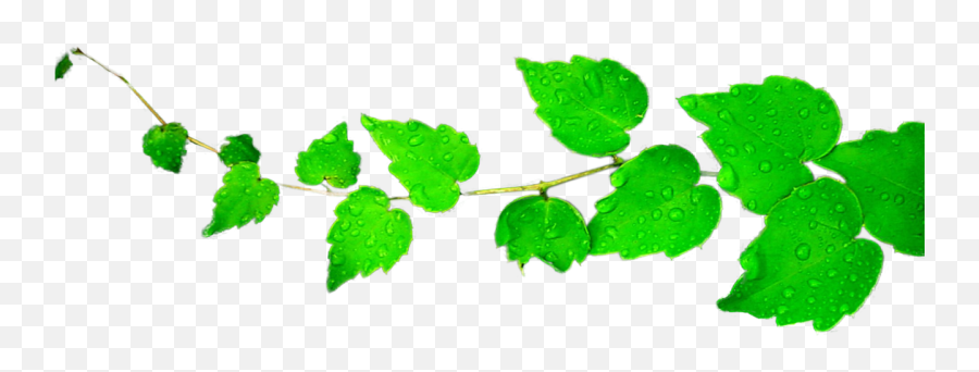 Download Falling Green Leaves Clip Art - Falling Green Emoji,Green Leaves Clipart