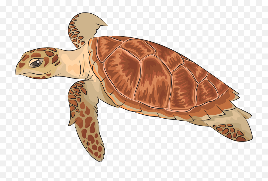 Hawksbill Sea Turtle Clipart - Hawksbill Sea Turtle Clipart Emoji,Turtle Clipart