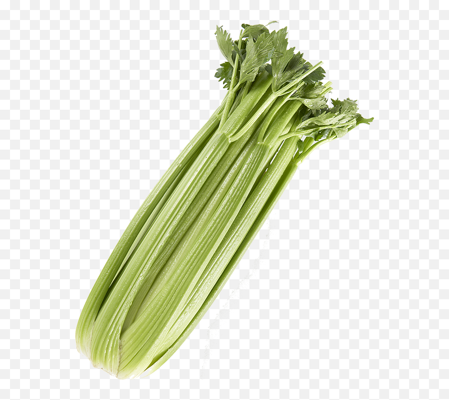 Celery Png High - Transparent Background Celery Transparent Emoji,Celery Png