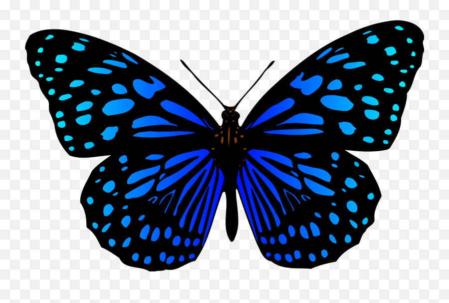 3 Clipart Butterfly - Butterfly Colour Transparent Cartoon Color Mariposa Para Dibujar Emoji,3 Clipart