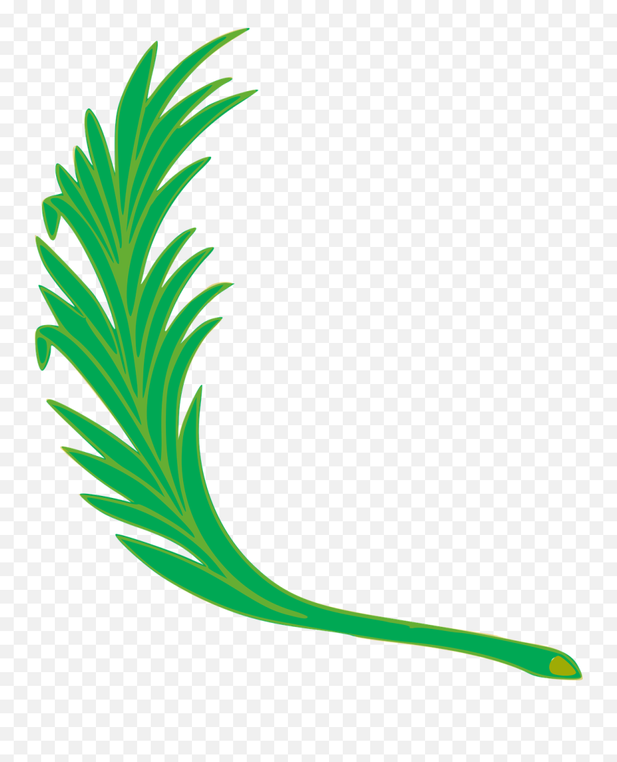 Flag Of Peru Coat Of Arms Of Peru - Palm Leaf Coat Of Arms Emoji,Peru Flag Png