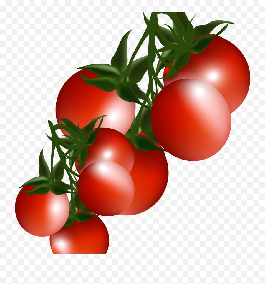 Tomato Plant Clip Art Emoji,Tomatoes Clipart