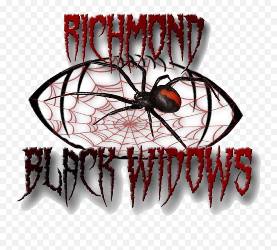 Roster - Richmond Black Widows Southern Black Widow Emoji,Black Widow Logo
