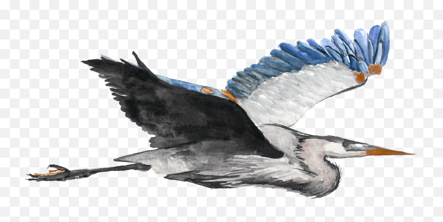 Home Blue Heron Catering Emoji,Heron Logo