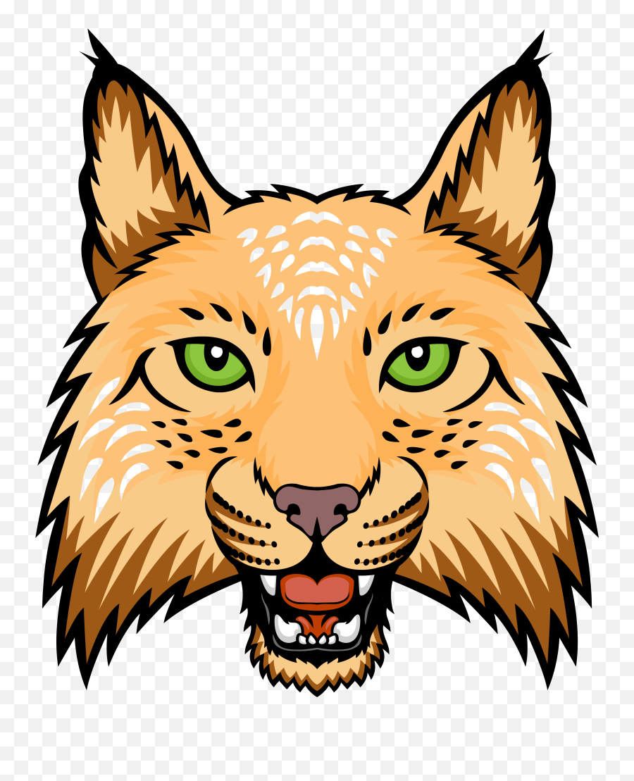 Bobcats Student Information - Aggression Emoji,Bobcat Logo