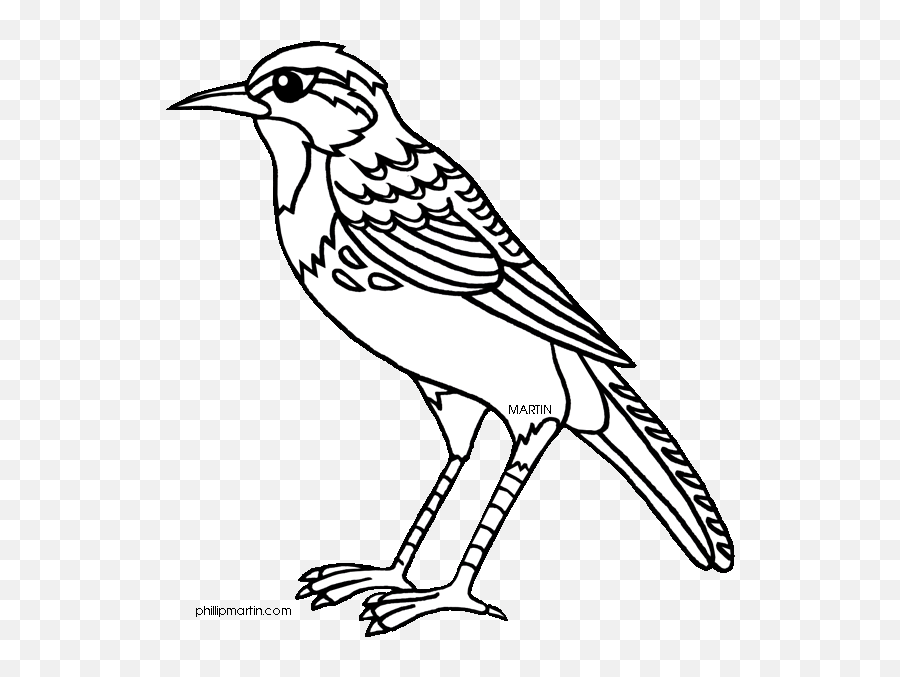 K State Wildcat Coloring Pages - Nebraska State Bird Black And White Emoji,Wildcat Clipart