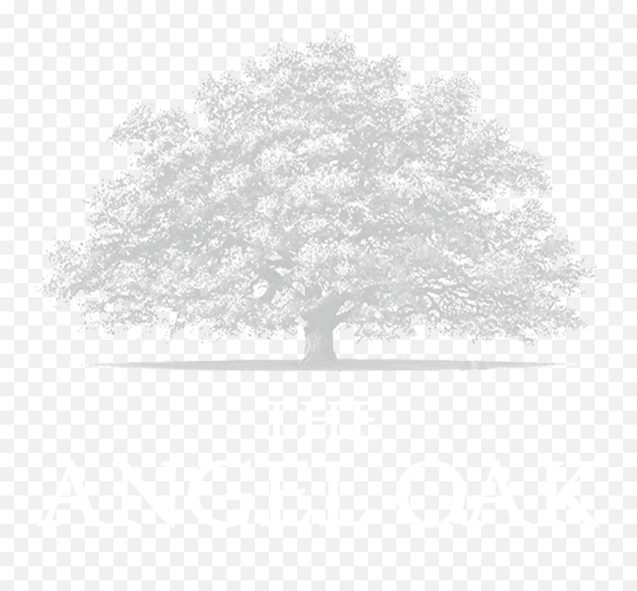 Angel Oak Wines Emoji,Oak Tree Png