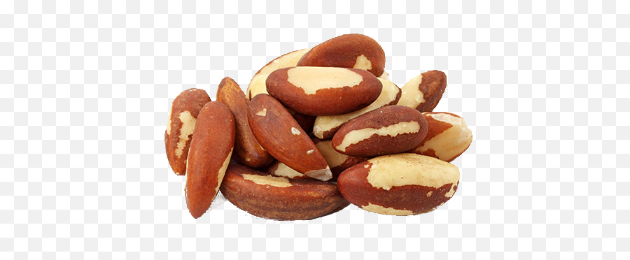 Brazil Nuts - Transparent Brazil Nuts Png Emoji,Nuts Png