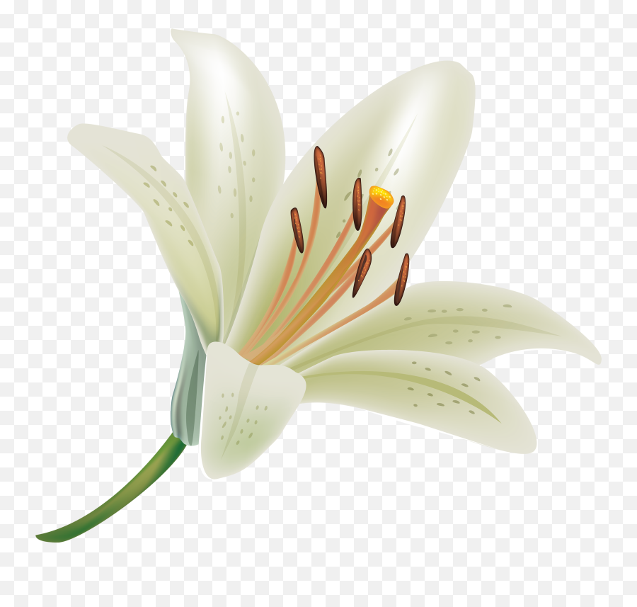 Download Lily Clipart Hq Png Image - Easter Lily On Transparent Background Emoji,Lily Clipart