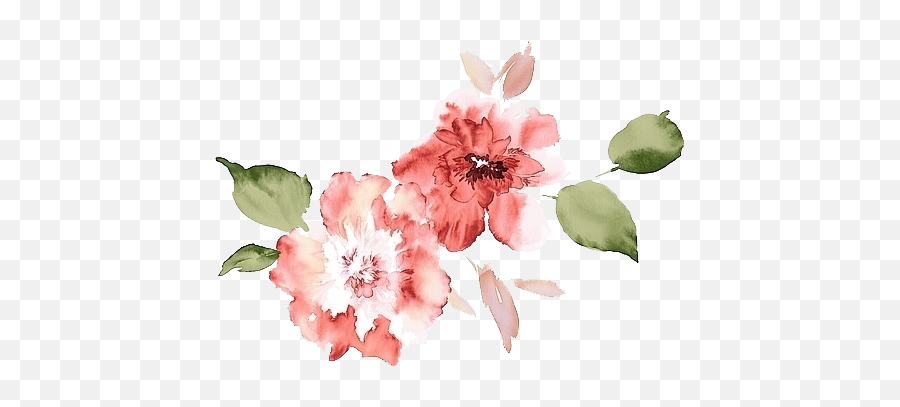 Flower Png I Used In My San Edit U2022u2022 Give Credits If - Orange Watercolor Flower Transparent Background Emoji,Watercolor Flower Png