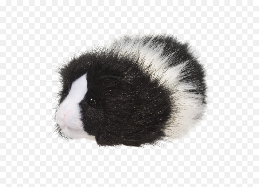 Douglas Angora Guinea Pig - Guinea Pig Plush Black And White Emoji,Guinea Pig Clipart