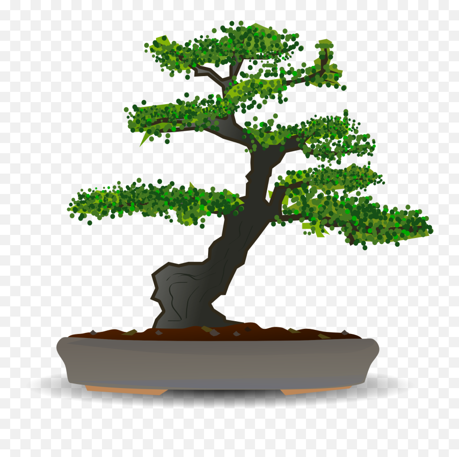 Bonsai Tree Clipart Free Image Download - Bonsai Tree Vector Art Emoji,Tree Clipart Free