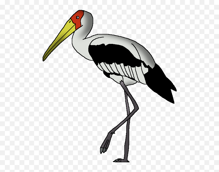 Painted Stork Wildlife Animal Pedia Wiki Fandom Emoji,Stork Png