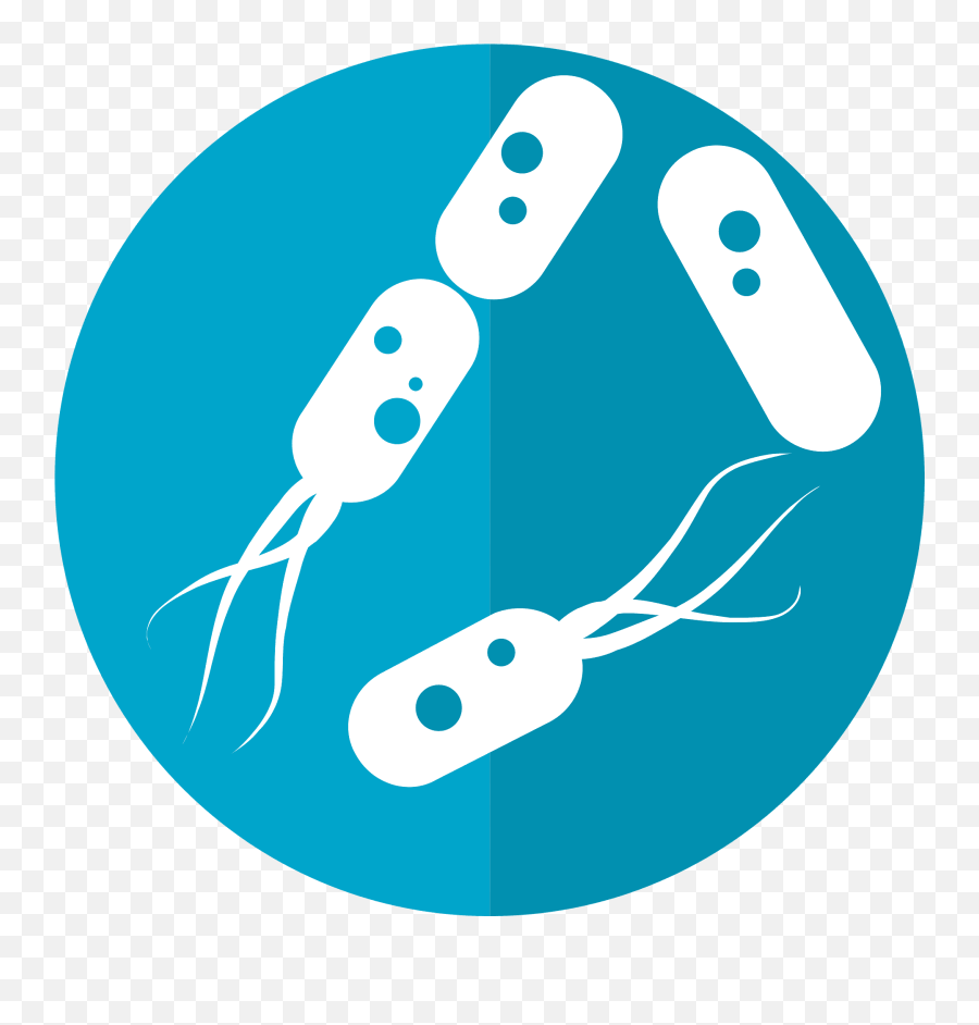 Vector Bacteria Water Clipart - Bacteria Icon Emoji,Bacteria Clipart