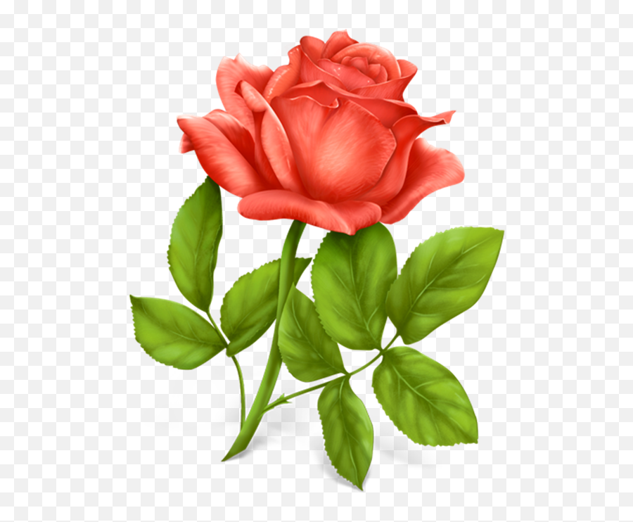 Download Red Roses Png Clipart Picture Only Roses Pinterest Emoji,Red Roses Png