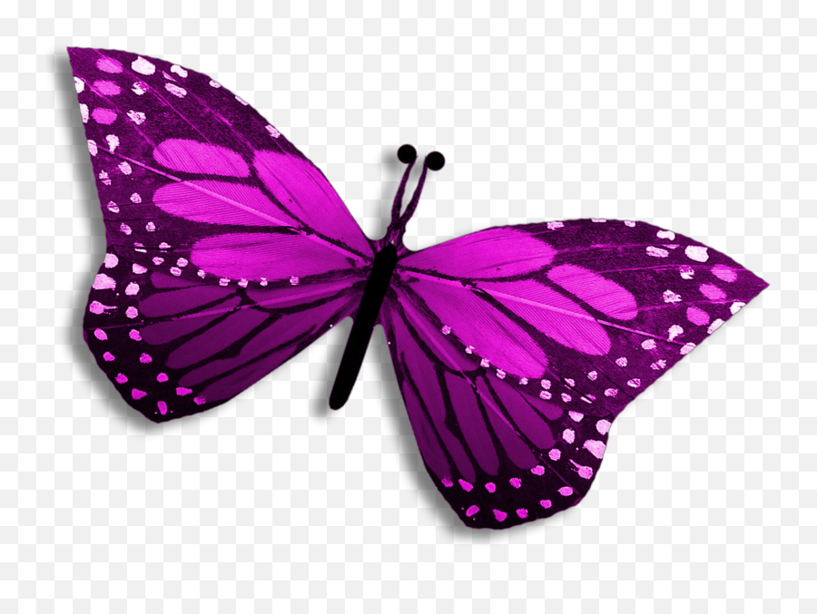 Download Purple Clipart Editing Picsart Butterfly Pretty - Butterfly Images For Editing On Picsart Emoji,Purple Clipart