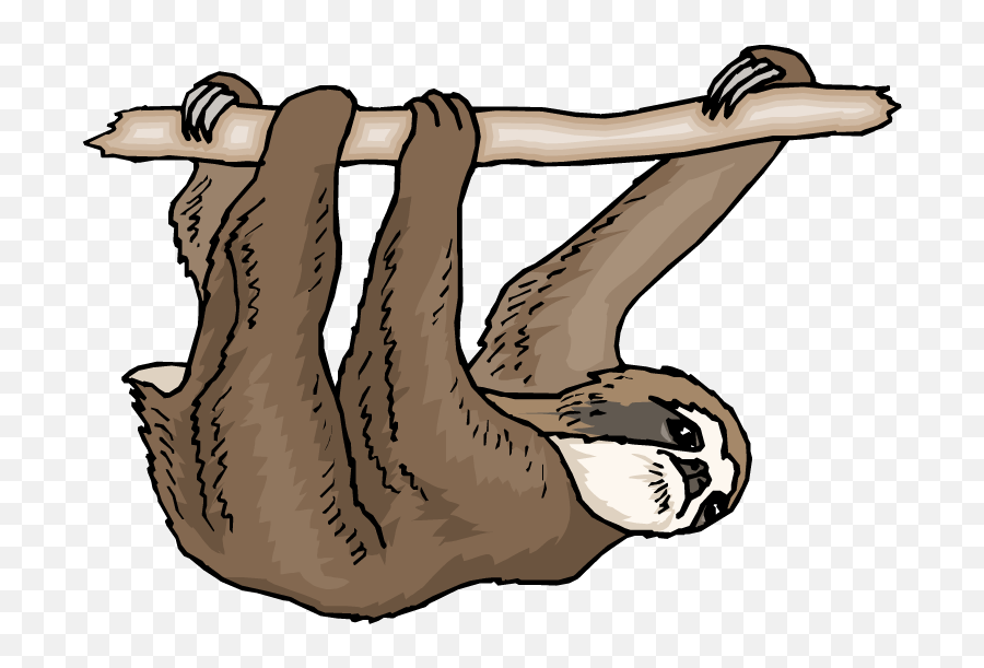 Sloth Clipart - Three Toed Sloth Clipart Emoji,Sloth Clipart