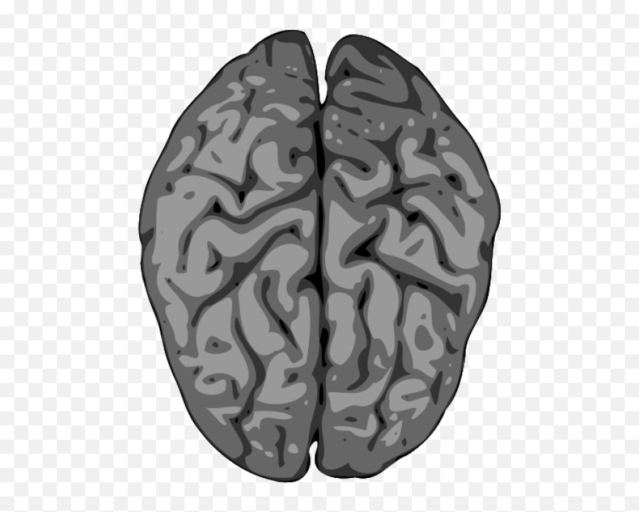 Grey Brain Transparent Png - Gray Matter Brain Png Emoji,Brain Clipart Transparent