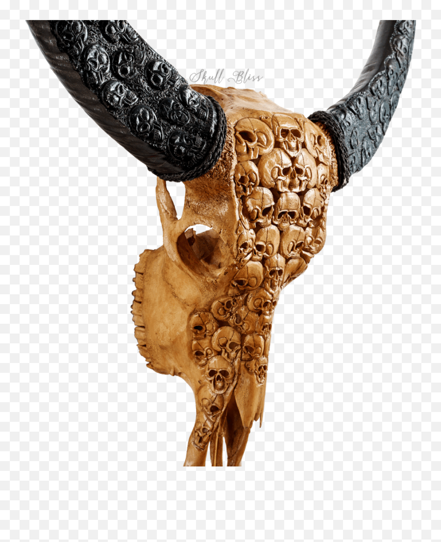 Bull Horn Png - Carved Buffalo Skull Carved Horns Skull Horn Emoji,Bull Horns Png