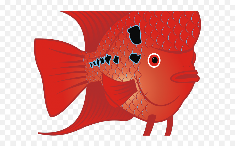 Download Hd Gold Fish Clipart Fish Head - Fish Clip Art Emoji,Clipart Of Fish