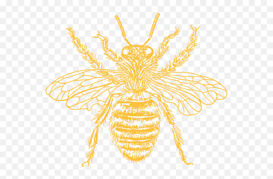 Yellow Bee Clip Art At Clkercom - Vector Clip Art Online Bee Line Art Emoji,Bee Transparent