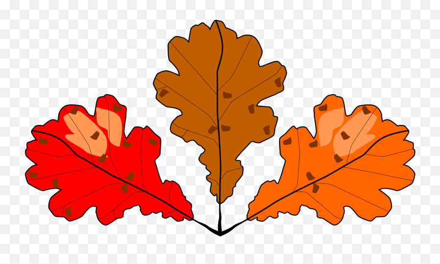 3 Oak Leaves Svg Vector 3 Oak Leaves Clip Art - Svg Clipart 6 Leaves Clipart Emoji,Oak Leaf Clipart