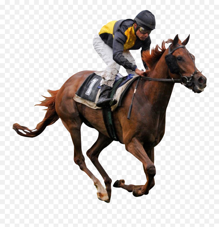 Horse Ride Png Image - Pngpix Race Horse Png Emoji,Horse Png