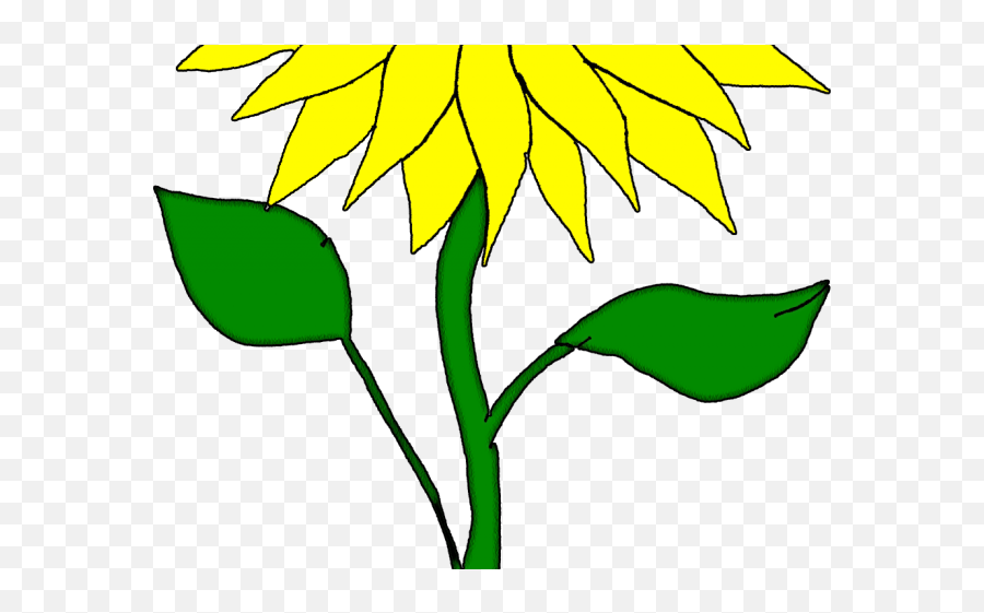 Simple Clipart Sunflower - Rose Drawing Sunflower San Flower Emoji,Simple Clipart