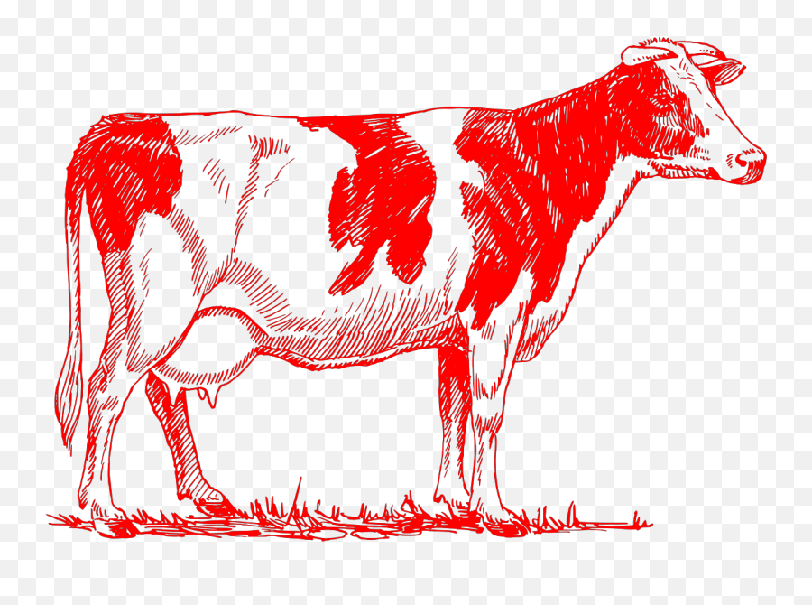 Red Cow Outline Svg Vector Red Cow Outline Clip Art - Svg Emoji,Eel Clipart