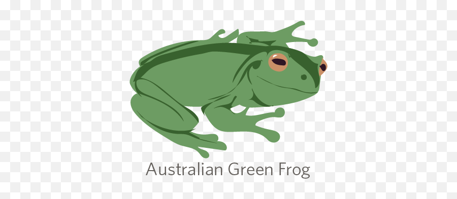 Itu0027s Tree Frog Week On Inaturalist Apr 10 - Apr 17 2016 Emoji,Bullfrog Clipart