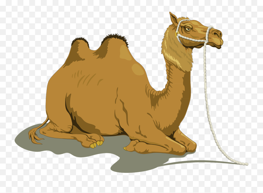Camel Free To Use Clip Art - Camel Png Clipart Emoji,Camel Clipart