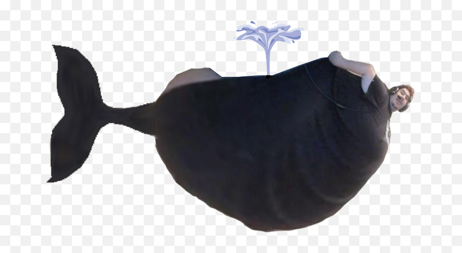 Black Poggers Transparent Png Image - Fish Emoji,Poggers Png