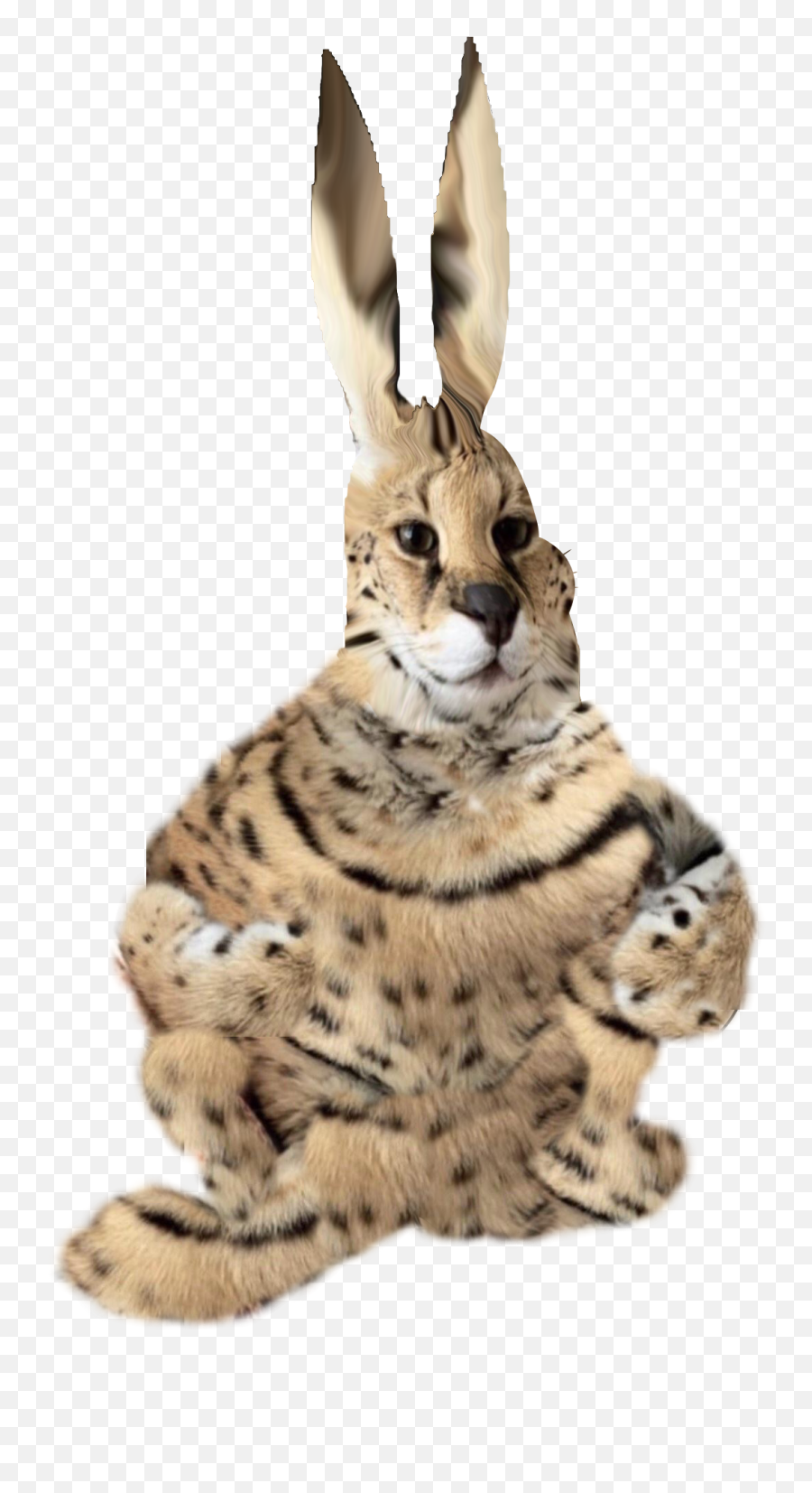 Bigfloppa - Soft Emoji,Big Chungus Transparent