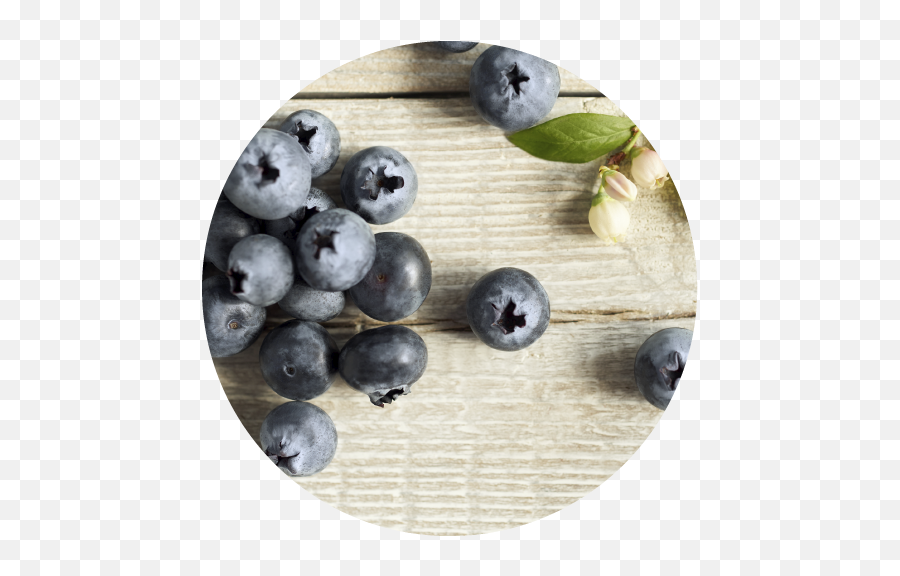 Our Berries U2014 The Fresh Berry Company - Blueberry Emoji,Blueberries Png