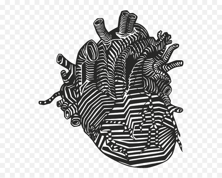 Anatomical Heart Png Transparent Png - Anatomical Artistic Open Heart Drawing Emoji,Real Heart Png