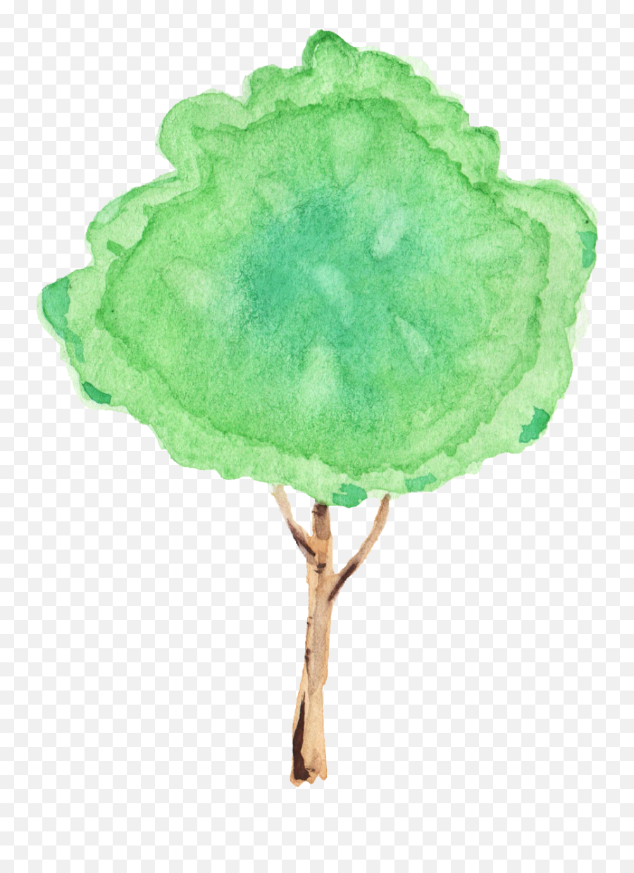 12 Watercolor Tree Transparent - Sketch Emoji,Watercolor Tree Png