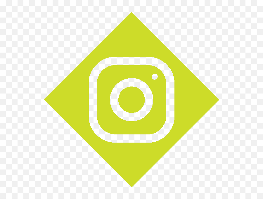 Fossils Summer Camp Emoji,New Instagram Logo