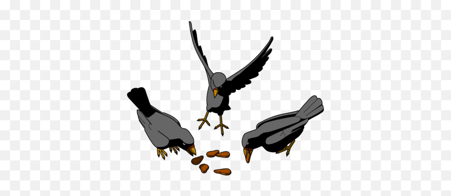 Seeds And Birds - Birds Eating Seeds Drawing Emoji,Seed Clipart