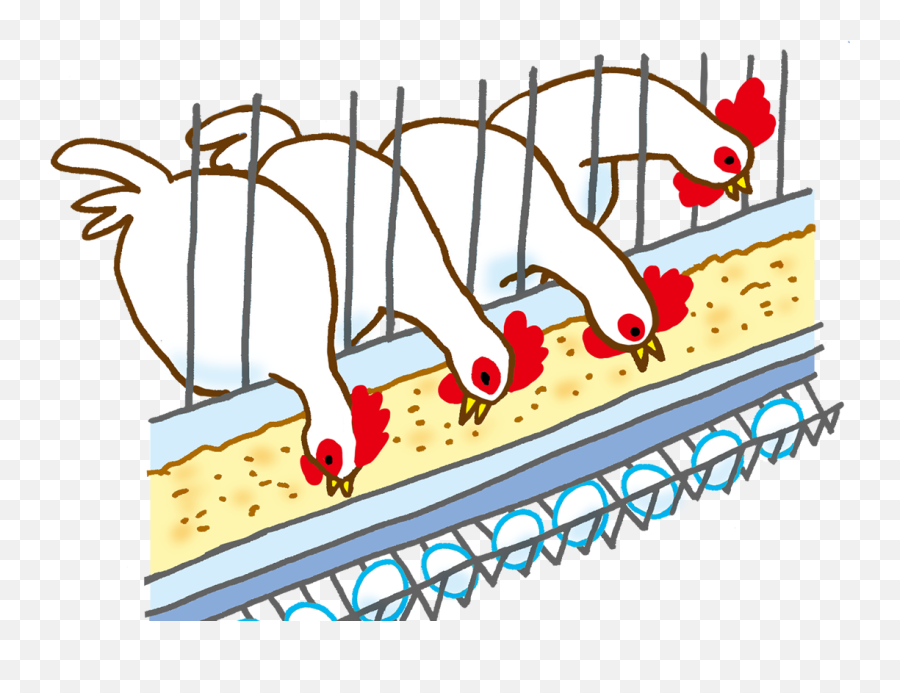 Poultry Farming Diagram Clip Art - Poultry Farming Diagram Drawing Emoji,Farming Clipart
