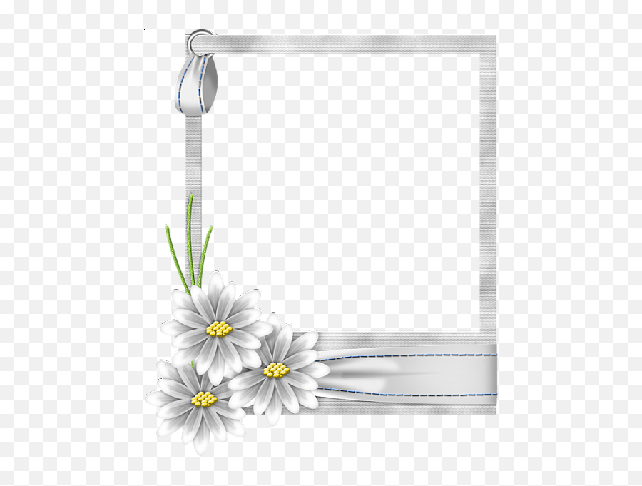 Download White Flower Frame Transparent Hq Png Image - White Flowers Photo Frames Emoji,Flower Frame Png
