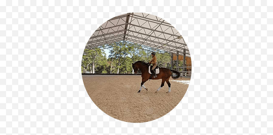 Arena Sand For Horse Stables Aldridge Trucking Company In - Arena Horse Emoji,Sand Transparent