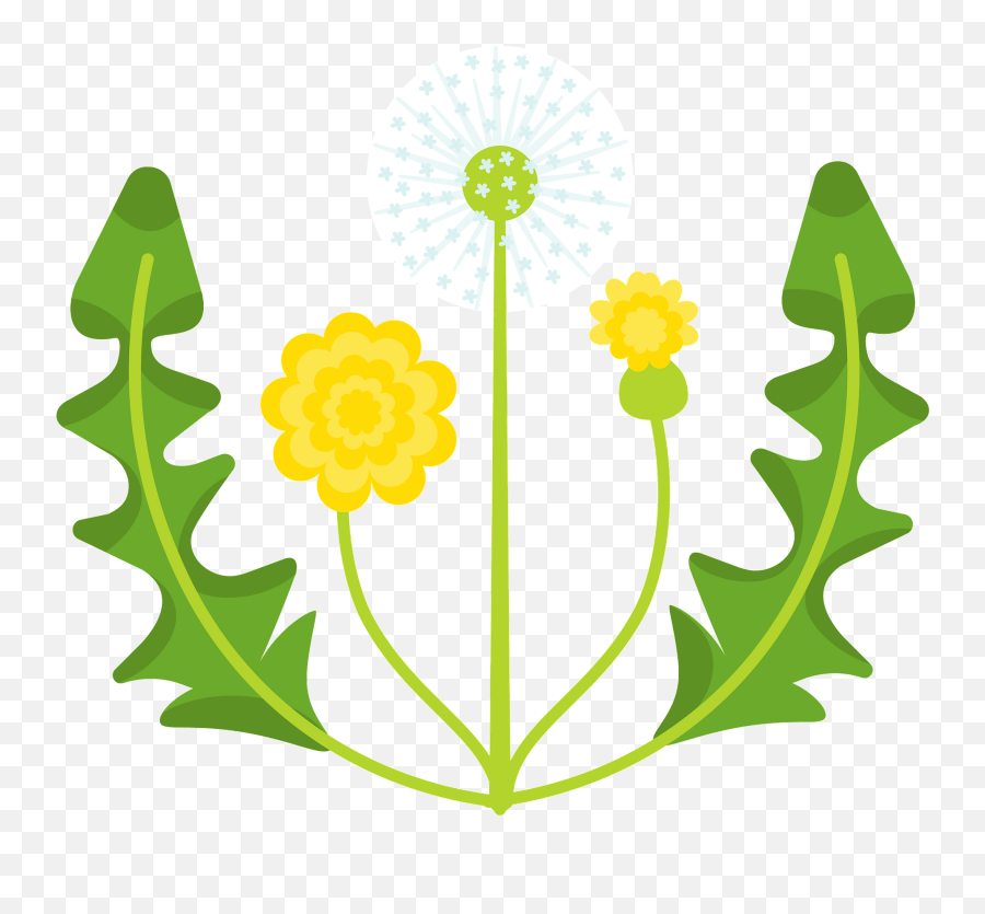 Dandelion Clipart - Decorative Emoji,Dandelion Clipart