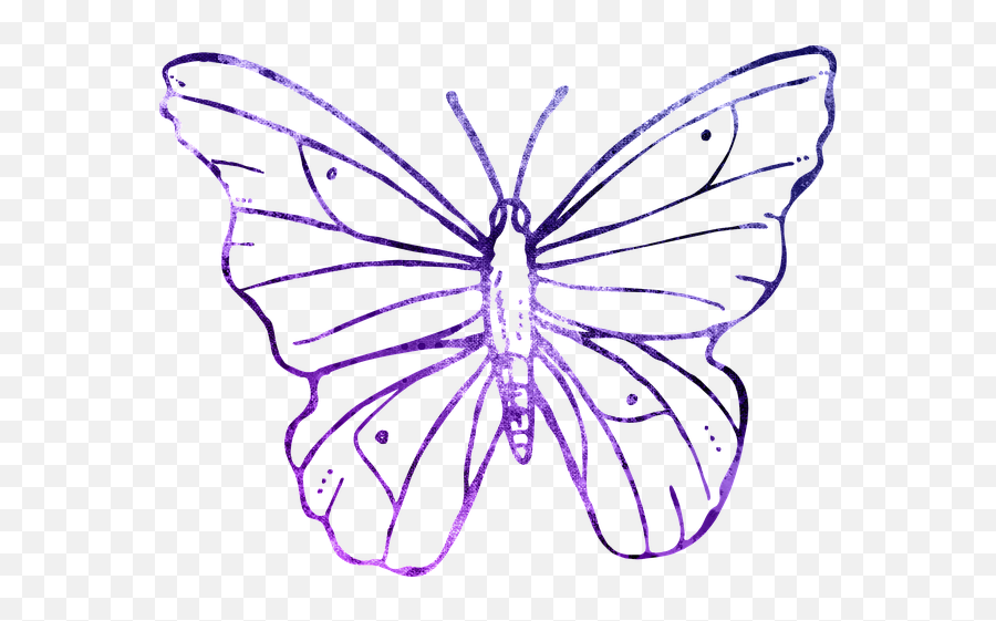 Download Butterfly Purple Outline Clipart Cute - Transparent Transparent Background Butterfly Clipart Outline Emoji,Flower Outline Clipart